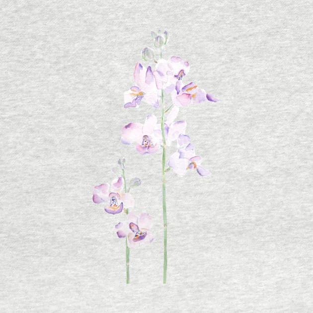 purple orchid watercolor by colorandcolor